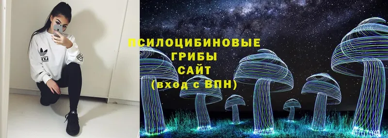 Псилоцибиновые грибы Magic Shrooms  hydra зеркало  Канаш 